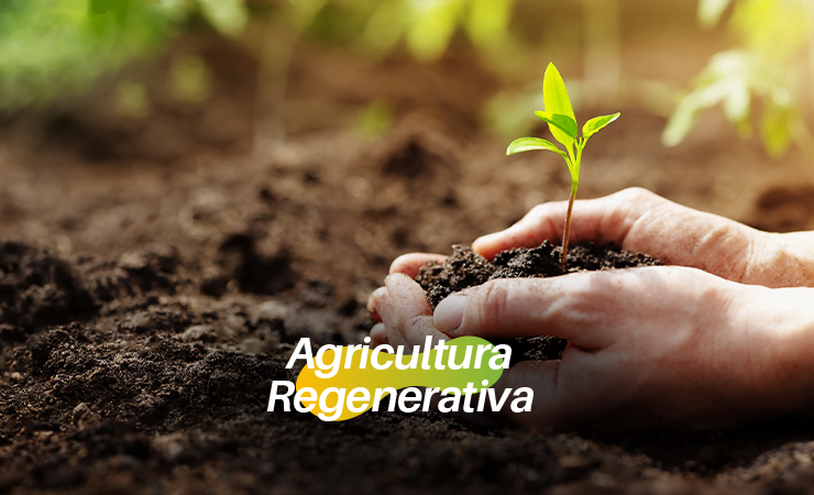 BioQualitá | Agricultura Regenerativa: o futuro mais sustentável