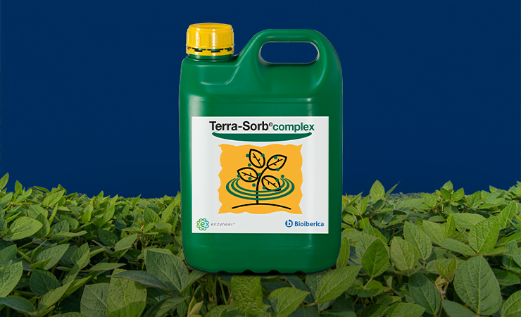 BioQualitá | Potencialize sua lavoura de soja com Terra-Sorb® Complex