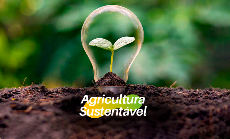 BioQualitá | Economia Circular na Agricultura: Como a BioQualitá Está Moldando o Futuro