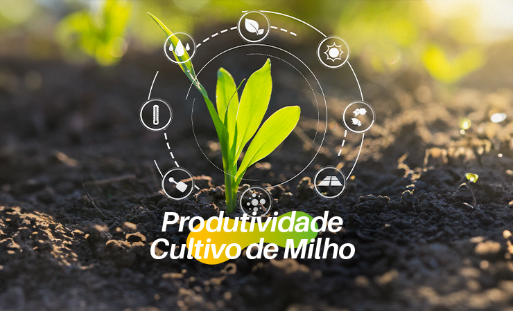 BioQualitá | Aminoácidos Livres e Extratos de Algas: Pilares da Produtividade no Cultivo do Milho