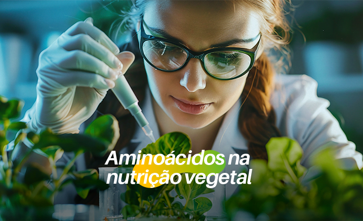 BioQualitá | Benefícios dos aminoácidos na nutrição vegetal e sua aplicação prática