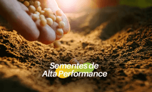 Sementes de Alta Performance: O Vigor Que Impulsiona o Sucesso no Cultivo de Soja