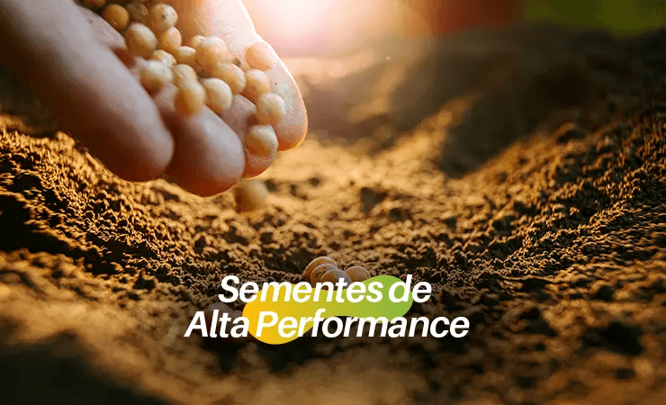 BioQualitá|Sementes de Alta Performance: O Vigor Que Impulsiona o Sucesso no Cultivo de Soja