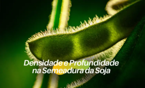 Densidade e Profundidade na Semeadura da Soja: Como Maximizar o Rendimento com as Práticas Certas