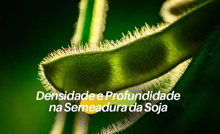 BioQualitá|Densidade e Profundidade na Semeadura da Soja: Como Maximizar o Rendimento com as Práticas Certas