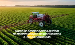 Como os aminoácidos ajudam na desintoxicação de plantas após o uso de herbicidas